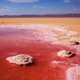 Illustration for article titled Photos of Mars...on Earth...in Tunisia